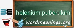 WordMeaning blackboard for helenium puberulum